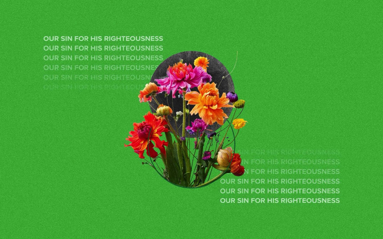 Trading Places option: a bouquet in a grey circle on green, with the line Our sin for his righteousness repeated
