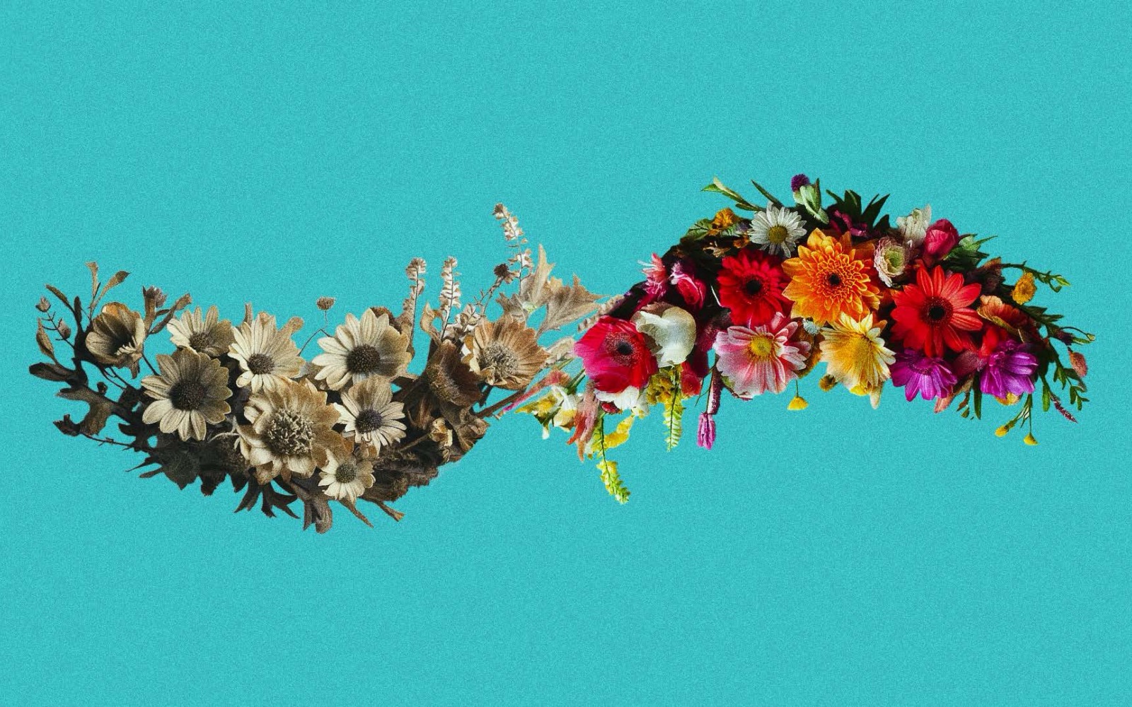 Trading Places option: a garland that turns from dried flowers to fresh blooms on teal