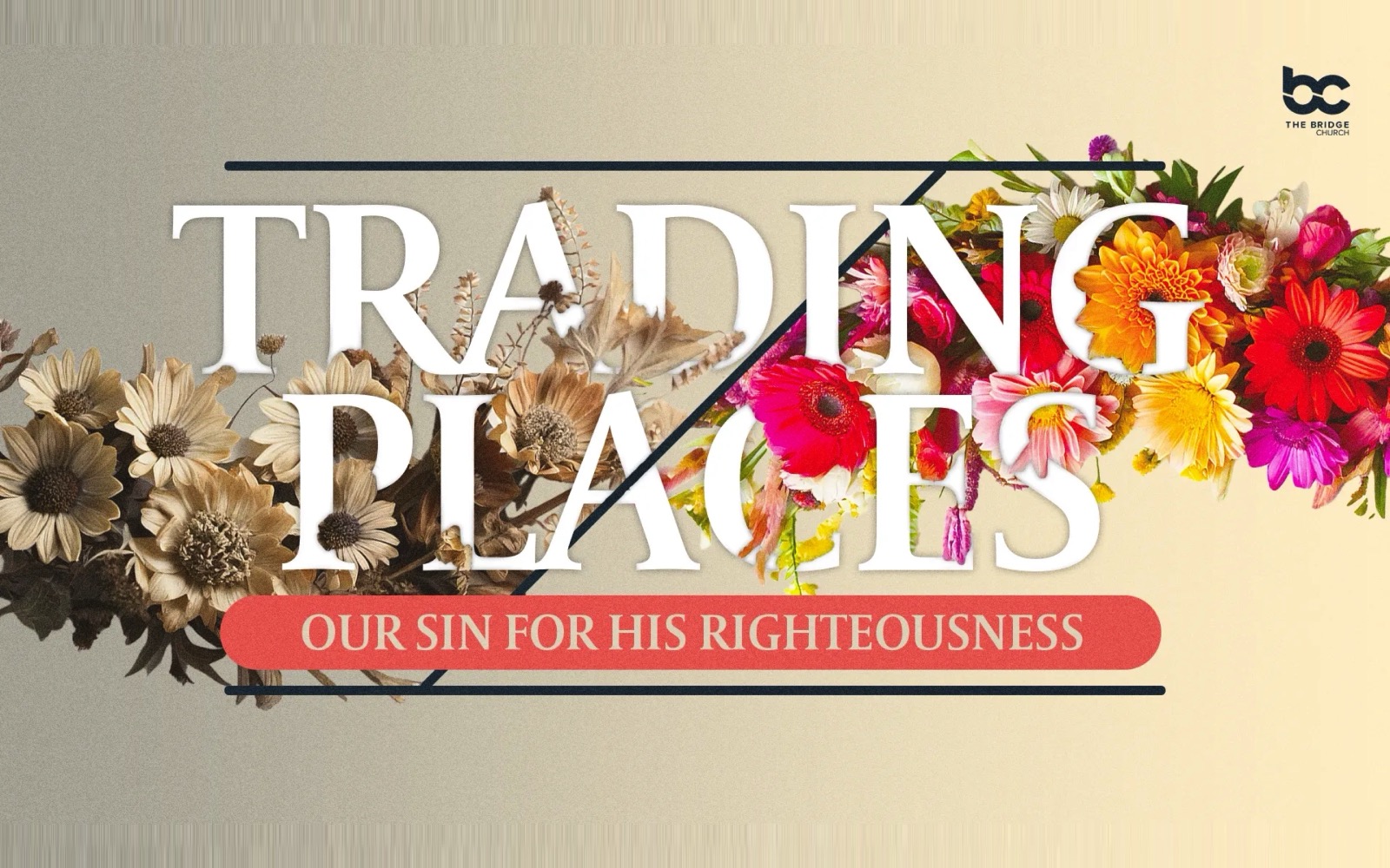 Trading Places, our sin for his righteousness: white serif type over dried flowers turning to fresh blooms